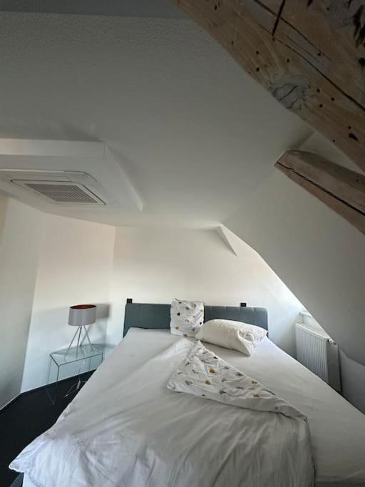 Panorama Penthouse In Wunderschoener Villa Kassel Zewnętrze zdjęcie