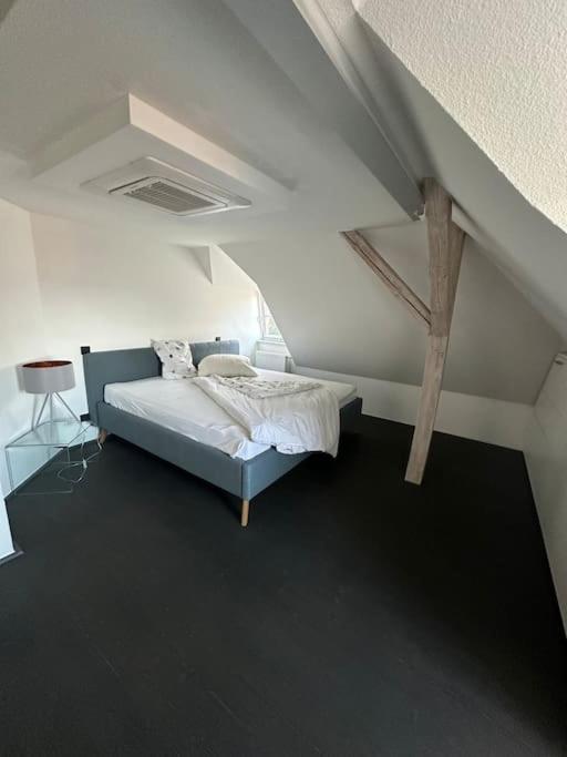 Panorama Penthouse In Wunderschoener Villa Kassel Zewnętrze zdjęcie